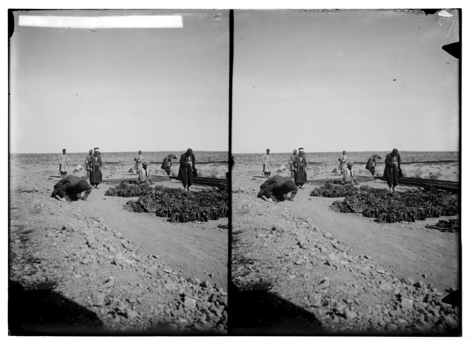 Various types, etc. Mohammedan (i.e., Muslim) pilgrim praying. LOC matpc.05288