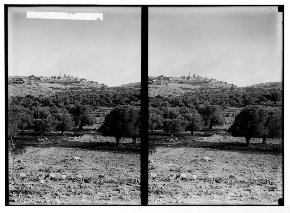 Various types, etc. Typical Arab village. LOC matpc.05639
