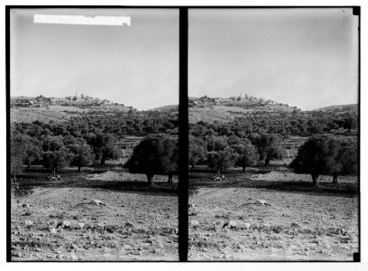 Various types, etc. Typical Arab village. LOC matpc.05639