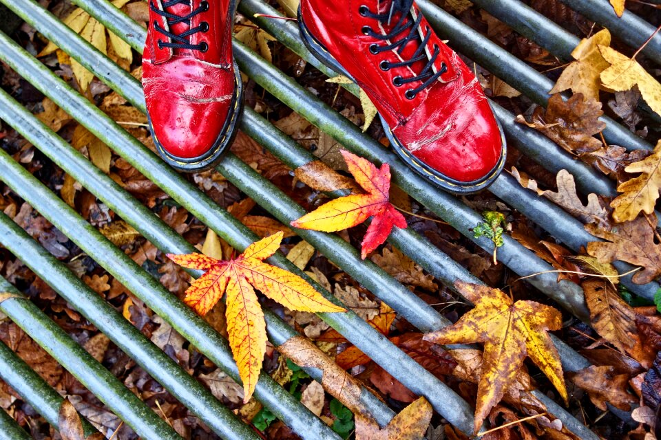 Standing red shoes patent leather shoes photo