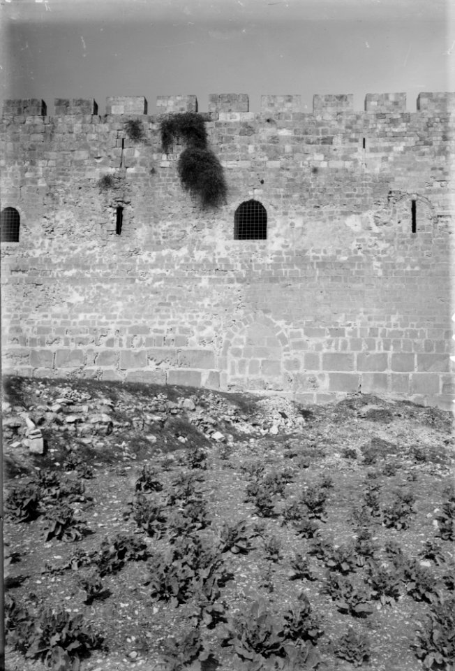 Various views of the city wall (Jerusalem). The single gate. LOC matpc.05071