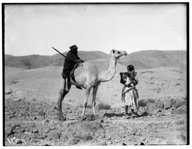 Various types, etc. Riding on camel LOC matpc.00696