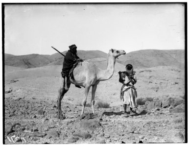 Various types, etc. Riding on camel LOC matpc.00696 photo