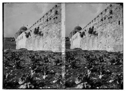Various views of the city wall (Jerusalem). The Triple Gate. LOC matpc.05073