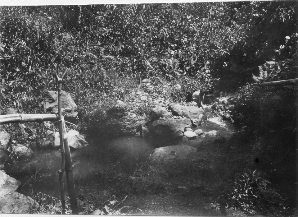 Varmvattenkälla vid byn. Kabupaten Bolaang Mongondow, Sulawesi. Indonesien - SMVK - 010692