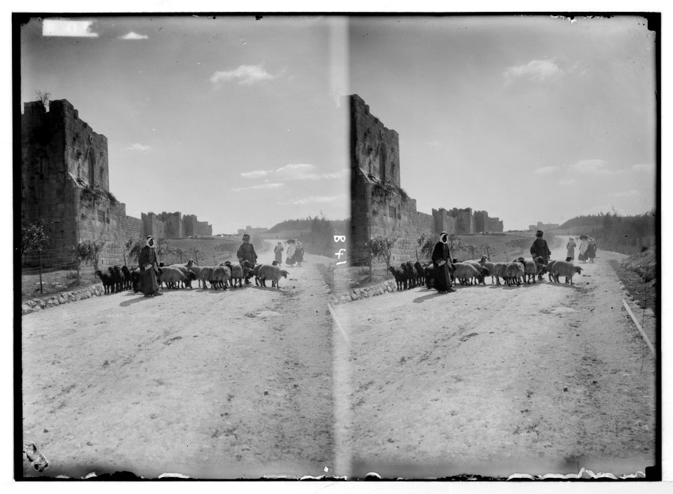 Various views of the city wall (Jerusalem). North wall and Gordon's Calvary. LOC matpc.05459