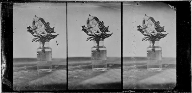 Vase of Flowers (4190281501)