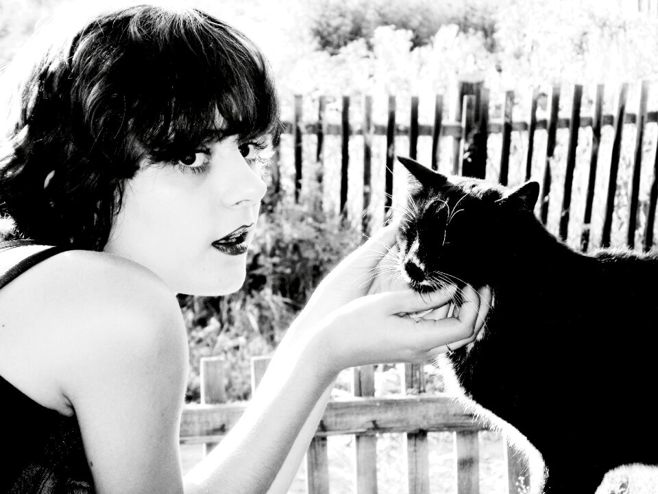 Black cat black and white