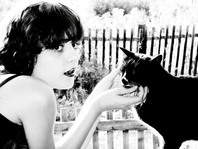 Black cat black and white