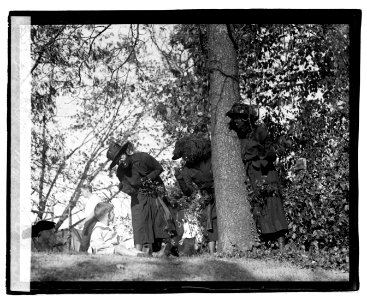 Vassar College Drive LOC npcc.05207