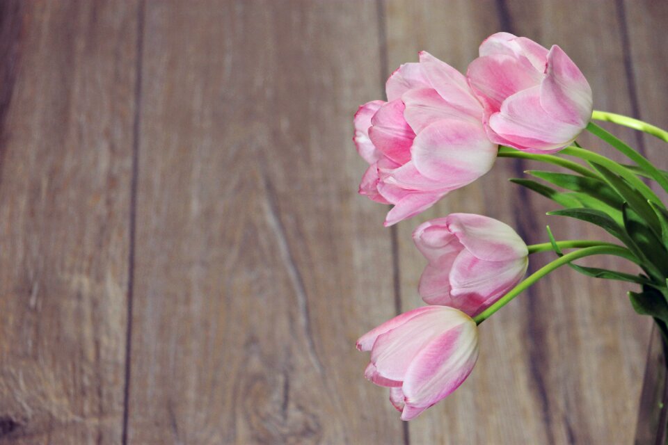 Pink color flowers send