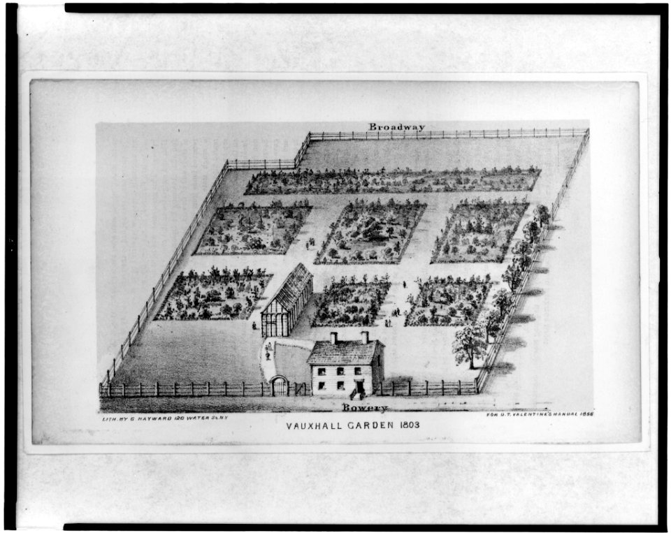 Vauxhall Garden 1803 - lith. by G. Hayward, N.Y. LCCN96500008