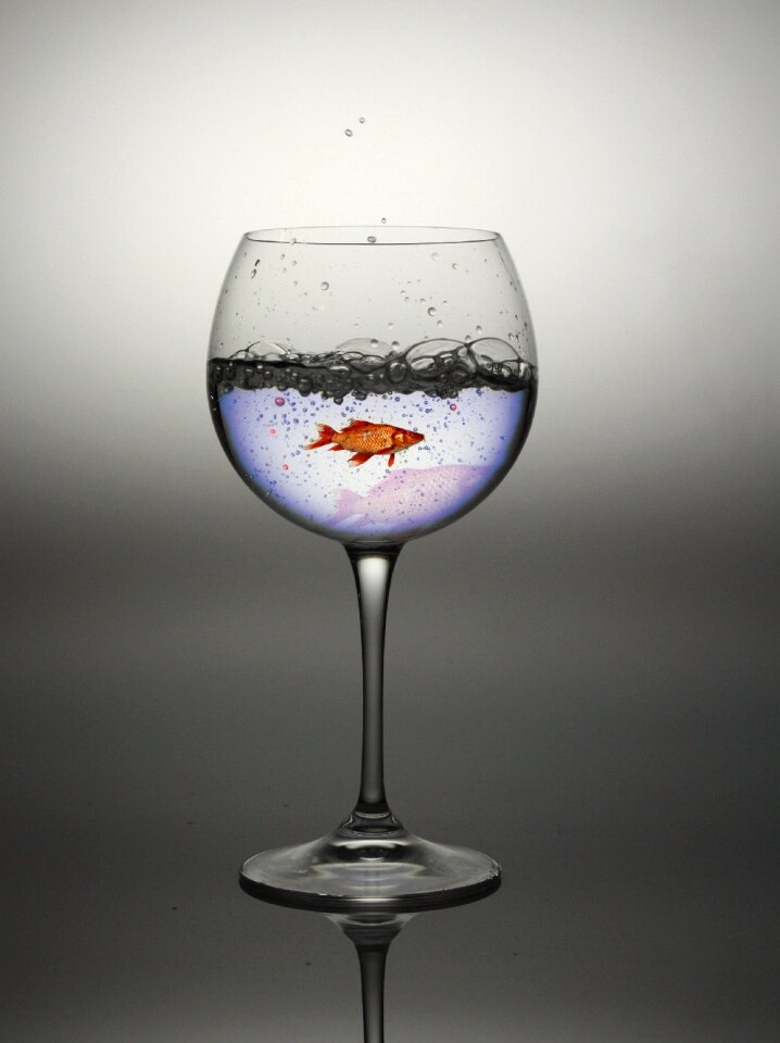 Red fish fish chalice