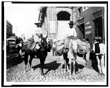 Vegetable men, Havana, Cuba LCCN89708780
