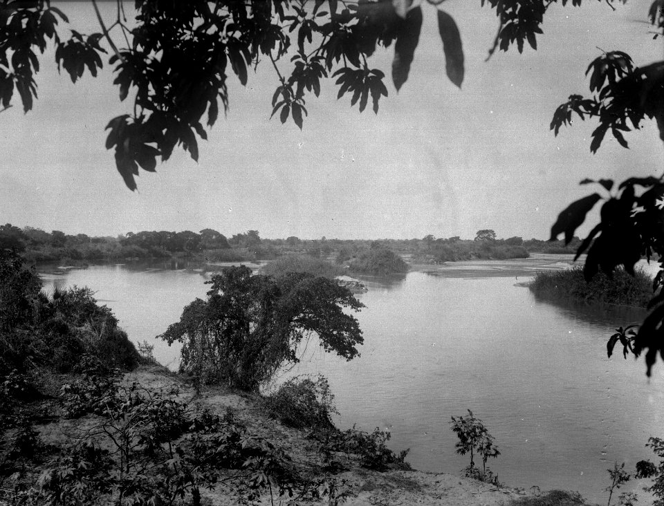 Vegetation kring floden Androhibe. Androhibe. Madagaskar - SMVK - 021957
