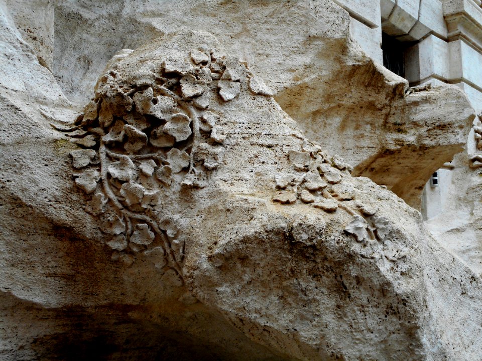 Vegetable detail - The fountain of Trevi (1732-1762) in Rome (40872279771)