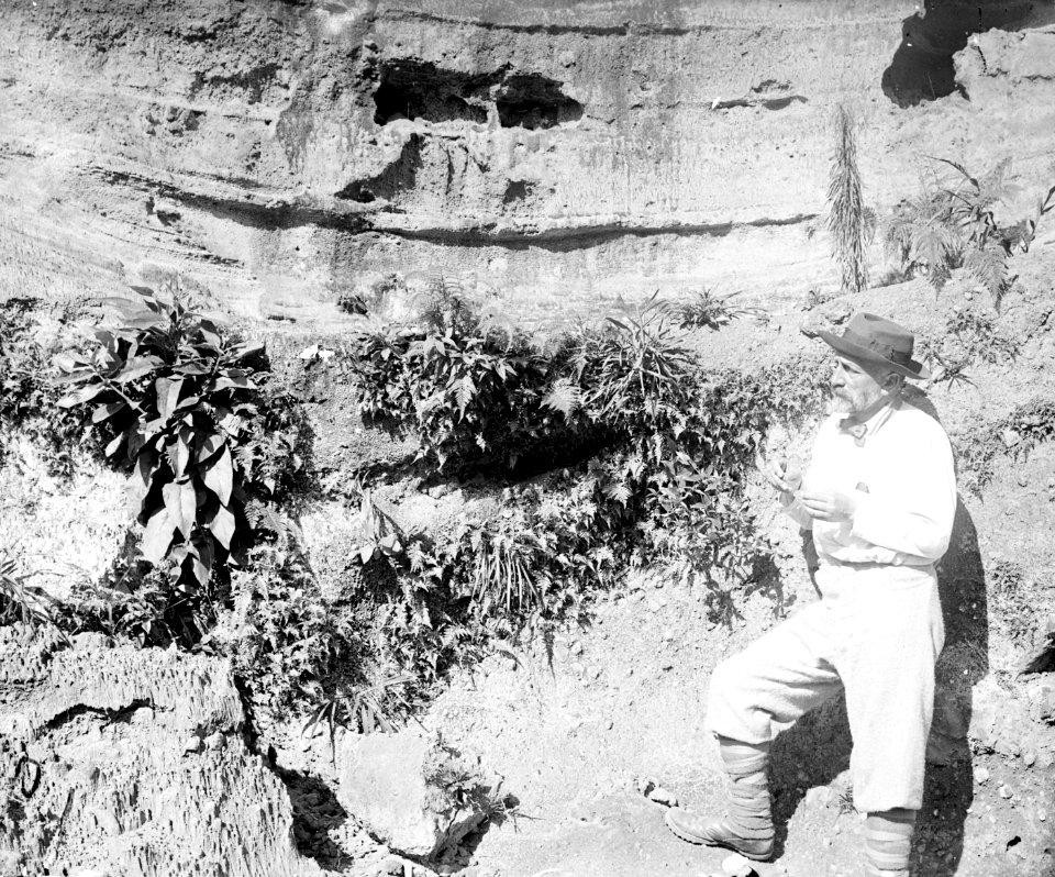 Vegetated valley walls YORYM-TA0231