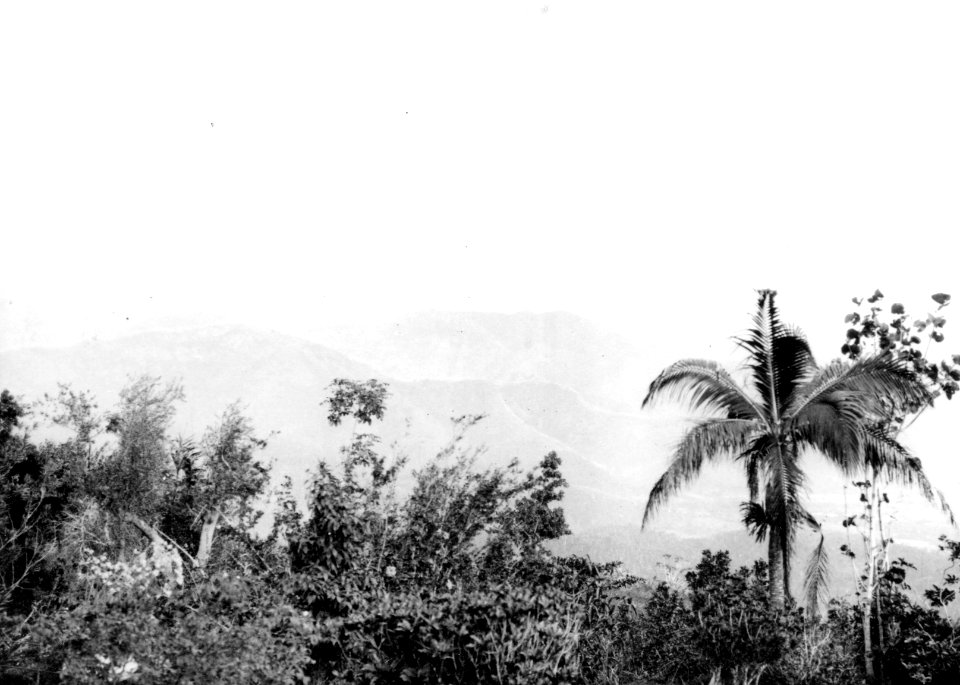 Vegetations- och formationsbild. Moxos Province. Bolivia - SMVK - 002441