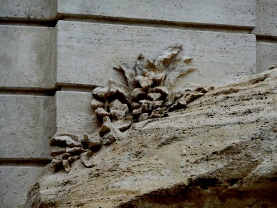 Vegetable detail - The fountain of Trevi (1732-1762) in Rome (40164344794)