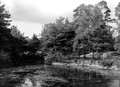 Ven bij Oisterwijk, ca 1915-25 (RHCL, VKG 045)