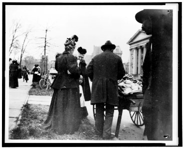 Vendor and cart near the White House during the egg rolling LCCN92519248