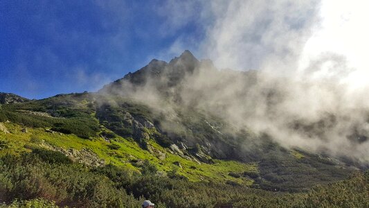 Mountain nature fog