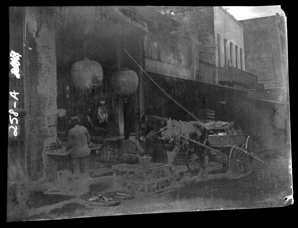 Vendors and a horse and cart on a street, Chinatown, San Francisco LOC agc.7a09034