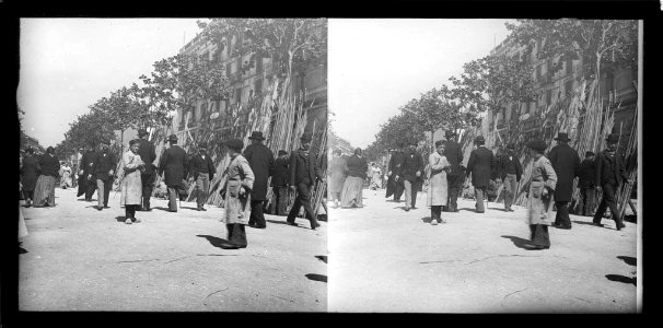 Venda de palmes i palmons a la Fira de rams de rambla Catalunya