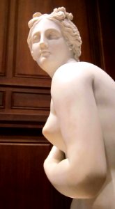 Venus - Corcoran Gallery - 7