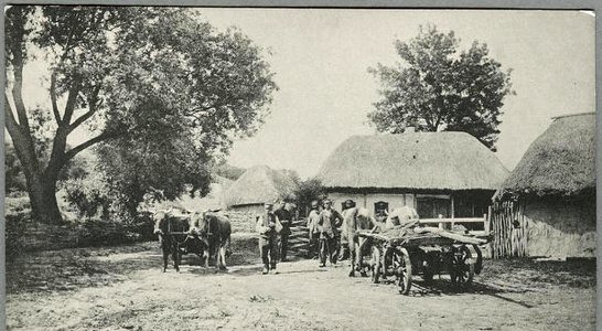 Veremiyivka, Chornobai Raion