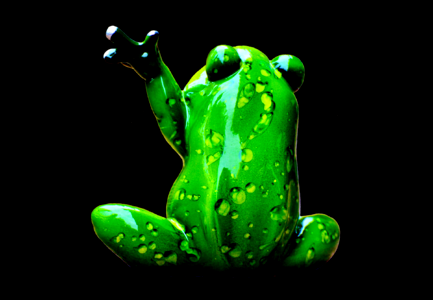 Funny cute animal