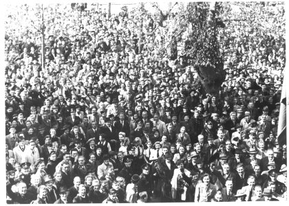 Verjaardag Mussert - Fotodienst der NSB - NIOD - 77970