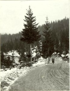 Verkehrsknotenpunkt Kranjska Gora (Kronau), Teilstück zwischen der Rohr- und der Scottibrücke auf der Straße zwischen Kranjska Gora - Mojstrovka (BildID 15463204)