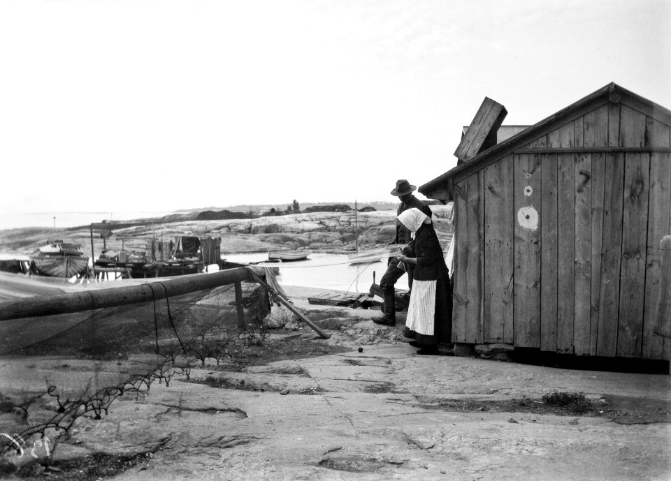 Verkkoja kunnostetaan ent - N1964 (hkm.HKMS000005-km0030dm)