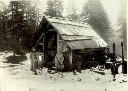 Verkehrsknotenpunkt Kranjska Gora (Kronau), Almhütte an der Straße von Kranjska Gora (Kronau) nach Mojstrovka (BildID 15463239)