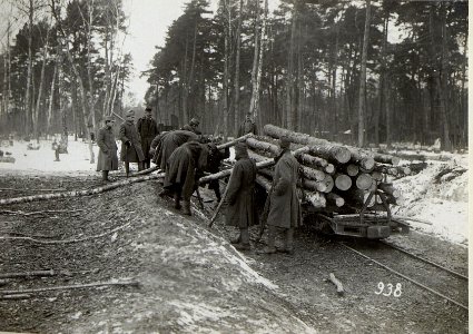 Verladetätigkeit in Galizien (BildID 15682875)