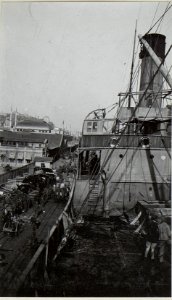 Verladen der Stella (Österr.Transportdampfer.) (BildID 15676026)