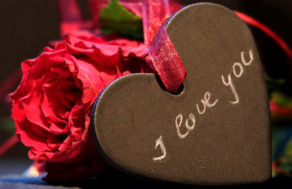 Red romance valentine's day