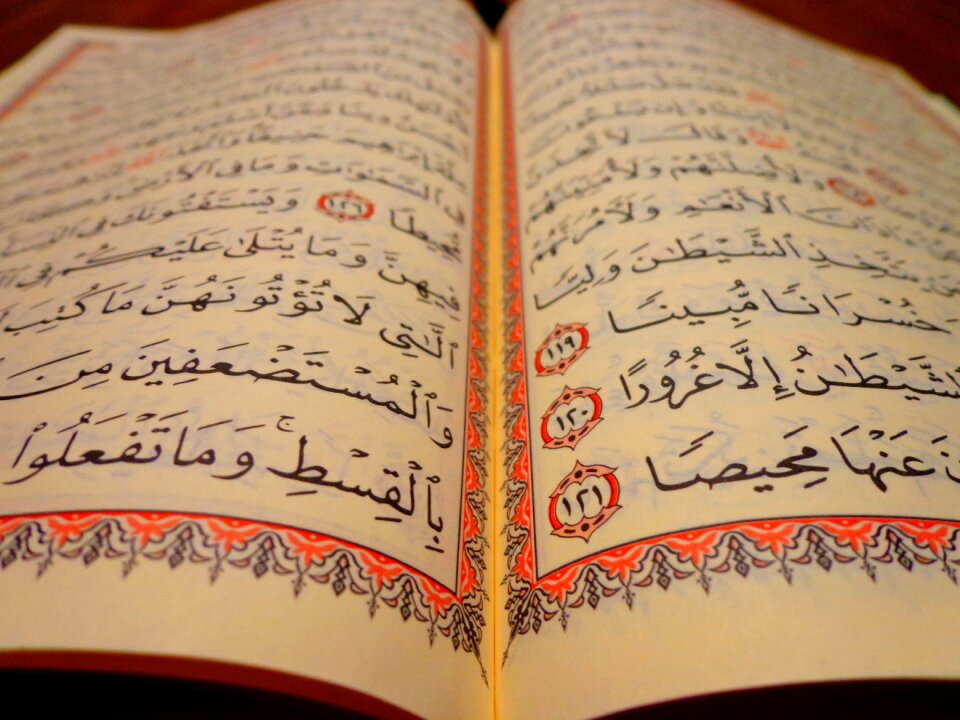 The text of the education reading