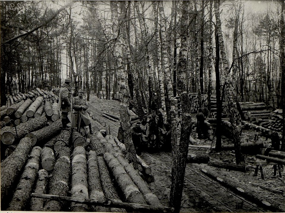 Vermutlich eine Fotostrecke einer Honvedeinheit mit Einsatzgebiet in Galizien (BildID 15535386)