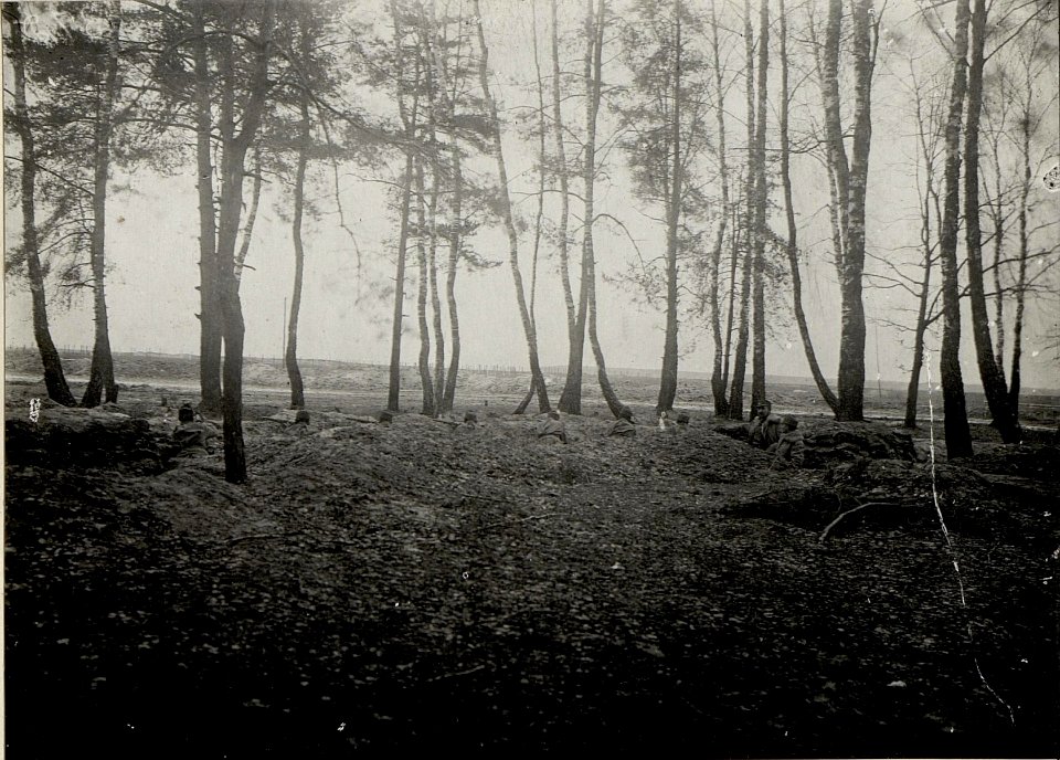 Vermutlich eine Fotostrecke einer Honvedeinheit mit Einsatzgebiet in Galizien (BildID 15535169)