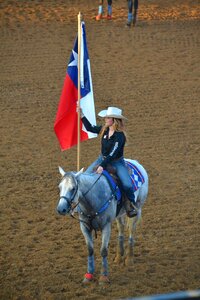 Horse cowgirl american