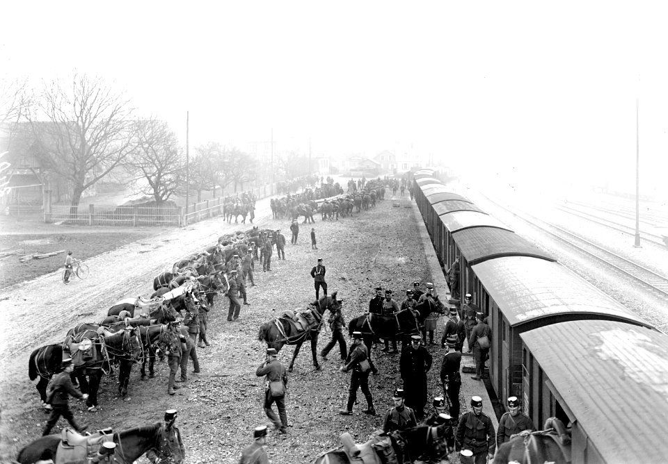 Verladen der Pferde in geschlossene Eisenbahnwagen - CH-BAR - 3239469