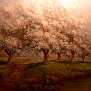 Verner Moore White Apple Blossoms