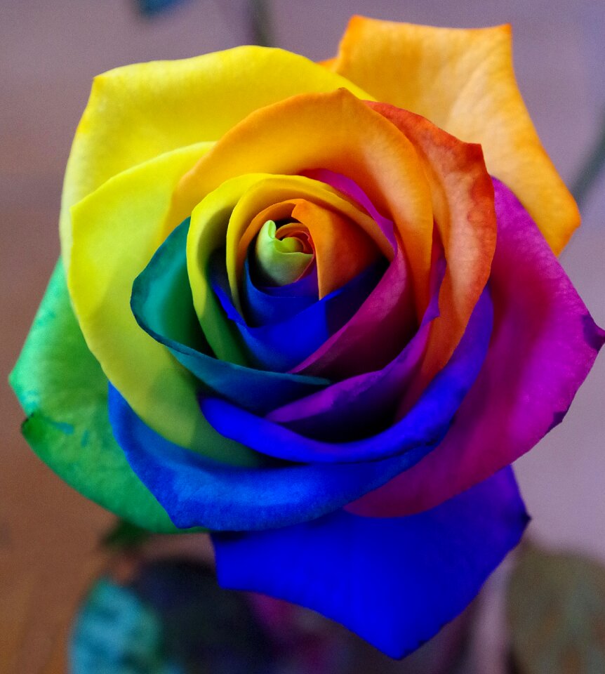 Love floral flowers