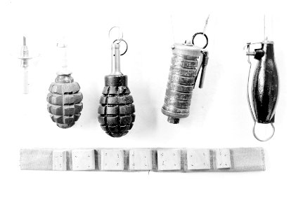 Verschiedene Handgranatenmodelle - CH-BAR - 3239062