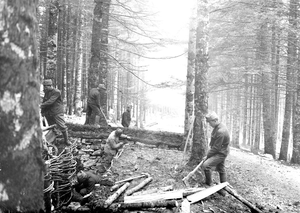 Verschiedene Arbeiten an einem Schützengraben - CH-BAR - 3240431
