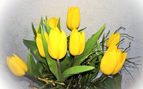 Easter bouquet yellow tulips fresh green photo