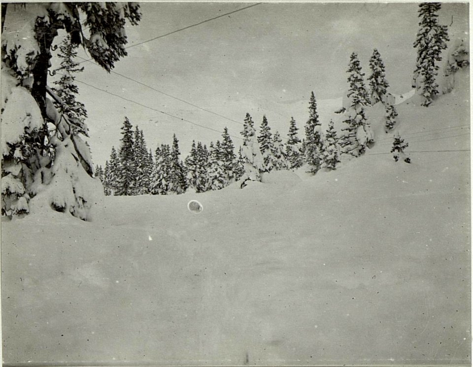 Verschneiter Weg Seikofl (BildID 15520506)
