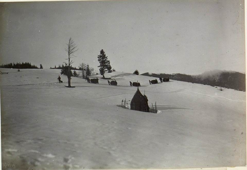 Versorgungstruppe bei Kiczera, östlich der 1000 Meter hohe Koziowagipfel (BildID 15439819)